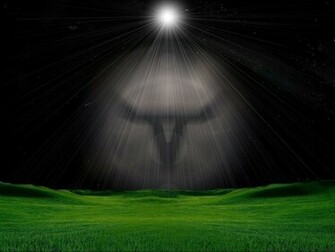 Longhorn Wallpaper