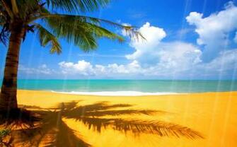 Summer Beach Animated Wallpaper Desktopanimated
