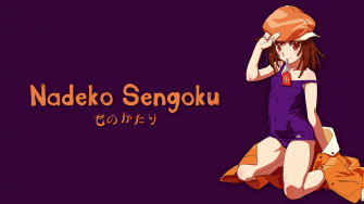Nadeko Sengoku Wallpaper By Mihwak