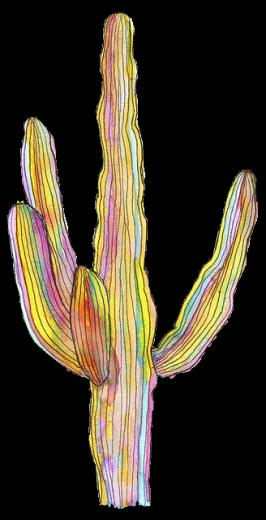 Transparent Cactus