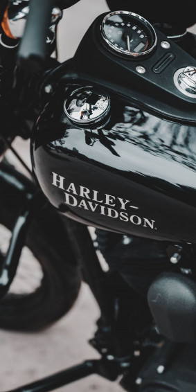 Harley Davidson Muscle Bike Wallpaper