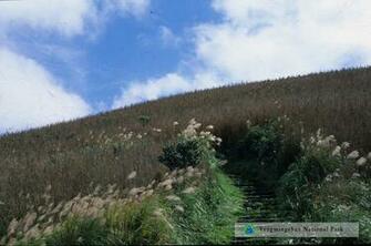Best Siaoguanyin Mountain Scenery Wallpaper
