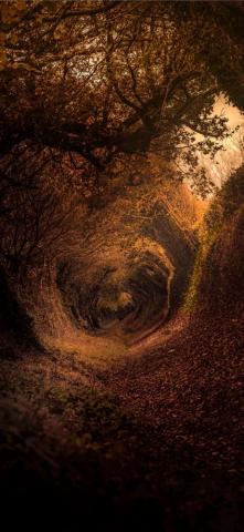 Hobbit Shire iPhone Wallpaper