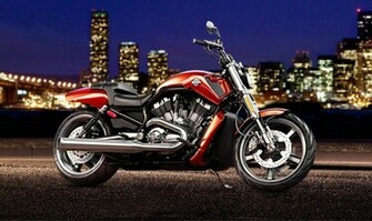 Davidson V Rod Muscle Showing Harley Jpg