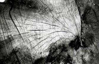 Dark Rustic Wallpaper Black And White