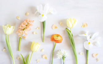 Enjoy The Freshness Of Spring With A Minimalist Mood