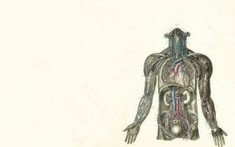 Medical Wallpaper Wallbase Cc
