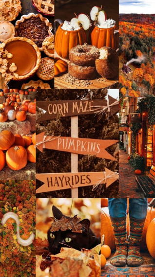 Cute Brown Aesthetic Wallpaper For Phone Orange Autumn