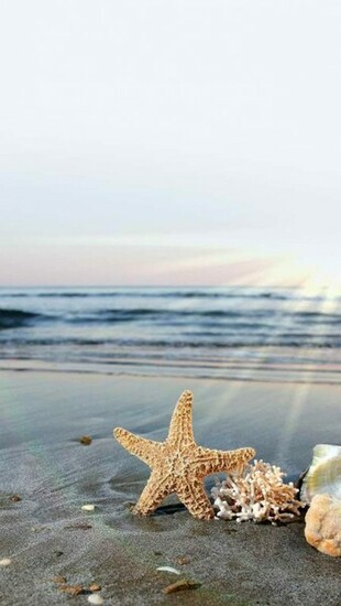 Beach Sunrise Wallpaper iPhone
