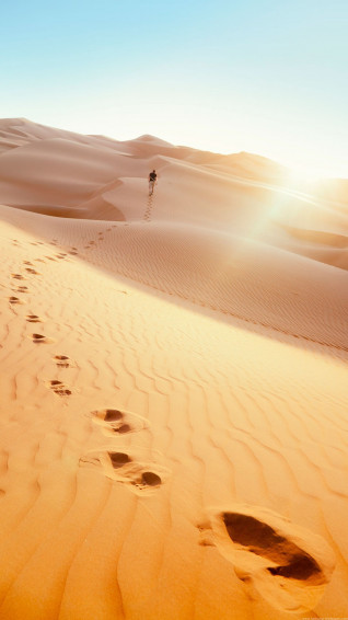 Desert iPhone Wallpaper Items