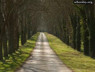 Country Lanes Wallpaper And Screensavers From Arborday Org