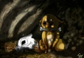 Cubone Unmasked Pokemon Wallpaper