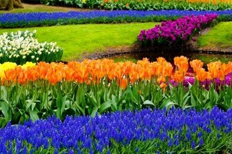 Colorful