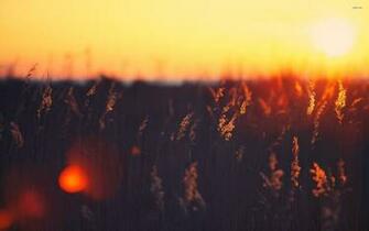 Vintage Sunset Graphy Wallpaper Full HD