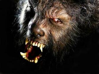 Werewolf Computer Wallpaper Desktop Background Id