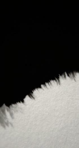 Half Black White In Wallpaper For iPhone