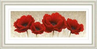 Co Poppies Elegant Flowers Flower Wallpaper Dekstop Picture