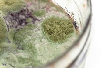 You Are At Home Environment Mold
