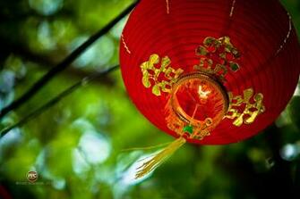 Happy Chinese New Year For Desktop Wallpaper