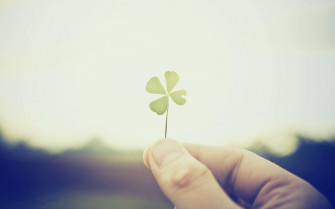 Four Leaf Clover Wallpaper HD