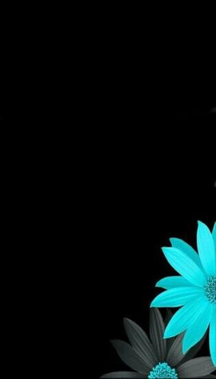 Best Black Flowers Wallpaper Ideas