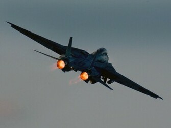 Tomcat HD Wallpaper Pictures