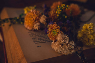 Dark Book Aesthetic Wallpaper