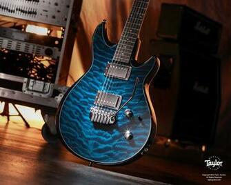 Taylor Guitars Wallpaper