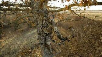 Bow Hunting Wallpaper Mossy Oak Camo
