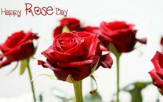 Happy Rose Day Wallpaper Desicomments