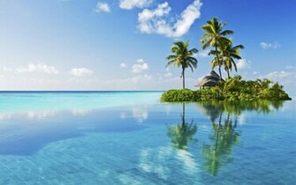 Palm Tree Wallpaper HD In Beach Imageci