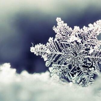 iPad Mini Wallpaper Frozen