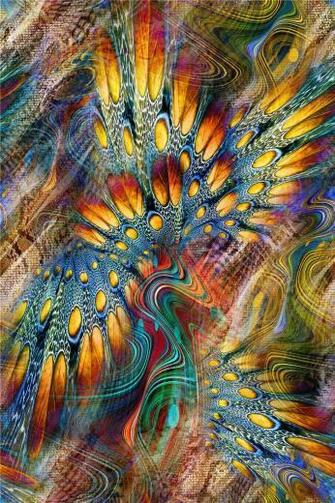 D G Tal Pr Nt Feather Collage Design Patterns Studio Textures