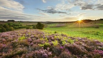 English Countryside Wallpaper