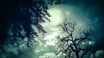 Moon Trees Clouds Dream Stars Wallpaper