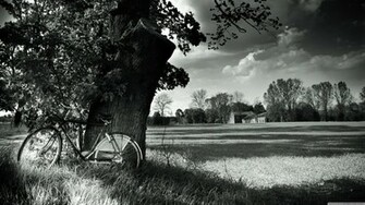 Bike Black And White Nature Potograph Wallpaper