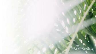Wallpaper Palm Sunday Worship Background