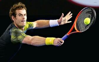 Andy Murray Wallpaper Sport