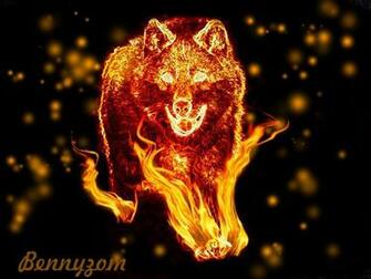 Fire Wallpaper Wolf HD I19 Jpg