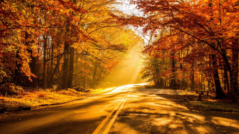 Fall Wallpaper HD Widescreen