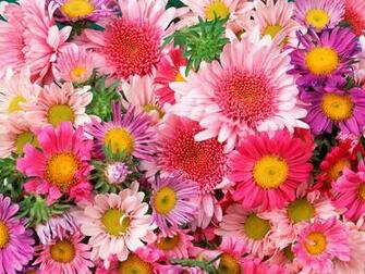 Flowers Amp Planets Wallpaper Nature
