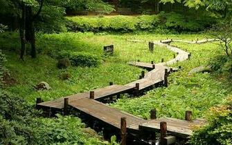 Scenic Summer Field Japan Hokkaido Country Scenery Wallpaper