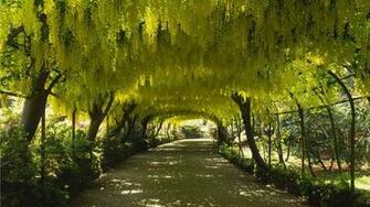 World Garden Wallpaper Wales Arch