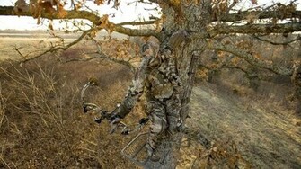 Mossy Oak Wallpaper Best Windows