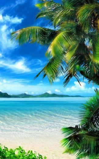 Tropical Beach Live Wallpaper Android Apps On Google Play