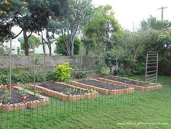 Gardening The Vegetable Patch Wallpaper