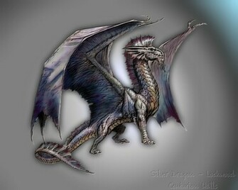 Silver Dragon Widescreen Wallpaper