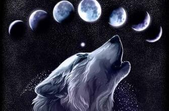 Wolf Computer Wallpaper Desktop Background Id