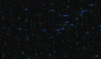 Minecraft End Background Portal By Arrasailsfan