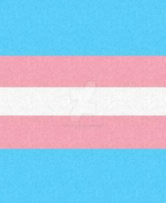 Transgender Pride Flag White Community Colors